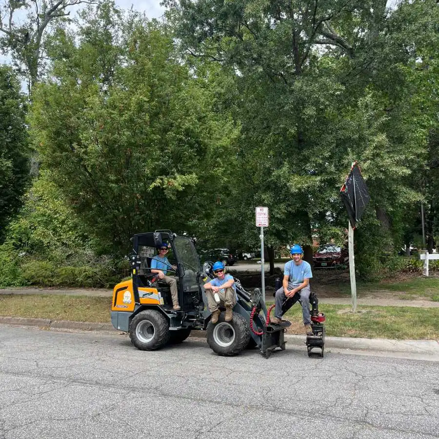 a group of professional arborists