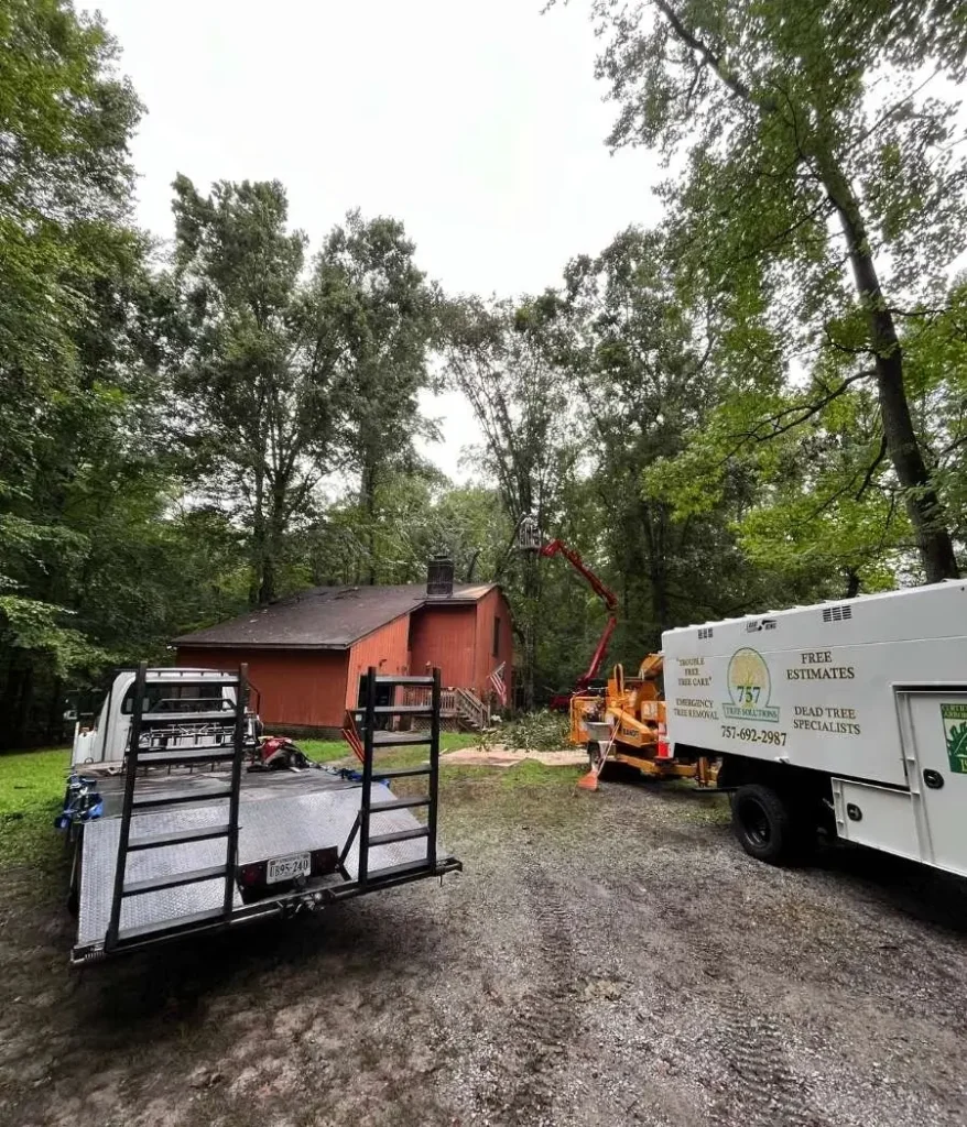 757 tree solutions professional trimming a tree assisted by a crane