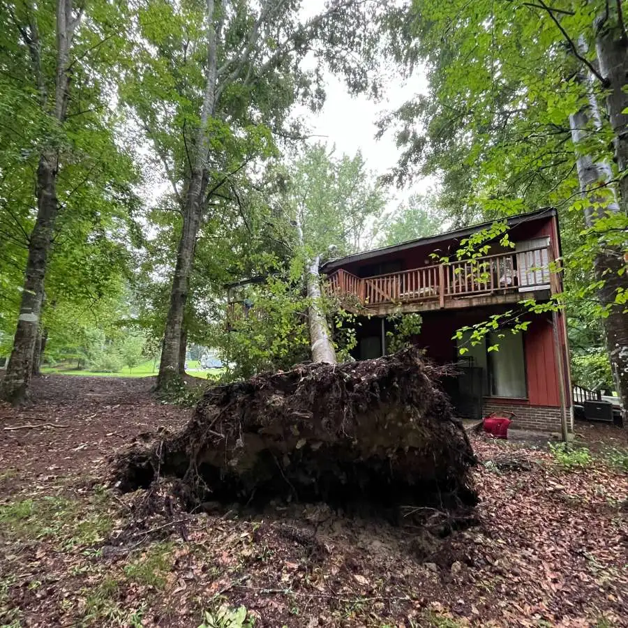 uprooted tree leaning on a house after a storm