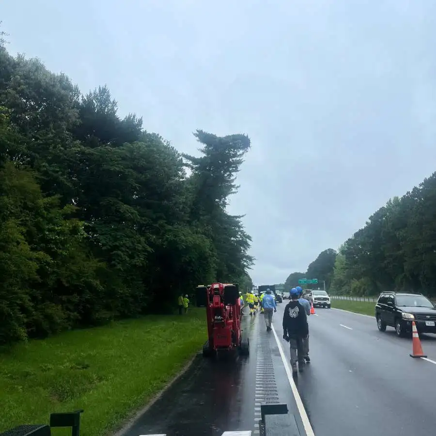 professional tree removal along Chesapeake road after a storm