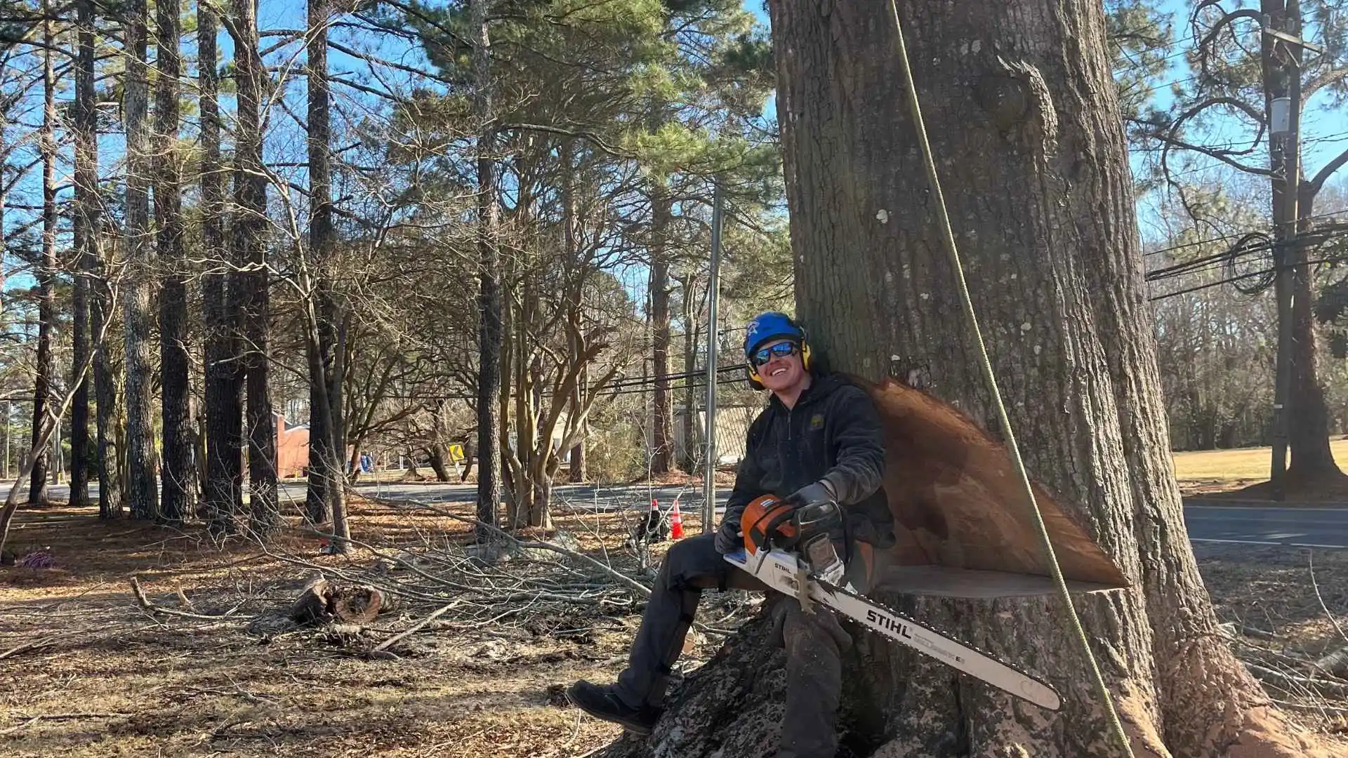 arborist sitting under a tree trunk holding a chainsaw