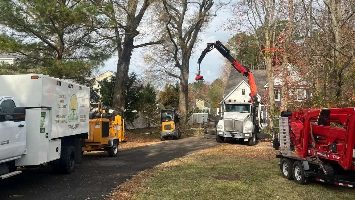 757 tree solutions trucks and machineries