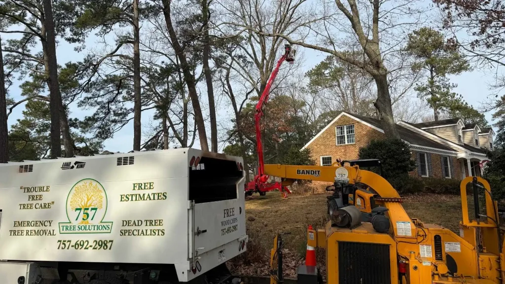Professional arborist performing tree removal service in Chesapeake VA with safety equipment and crane