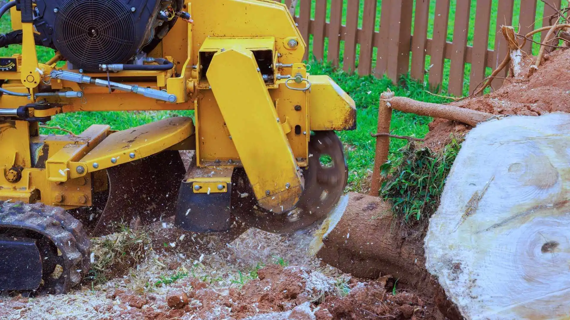 tree stump removal using a grinder
