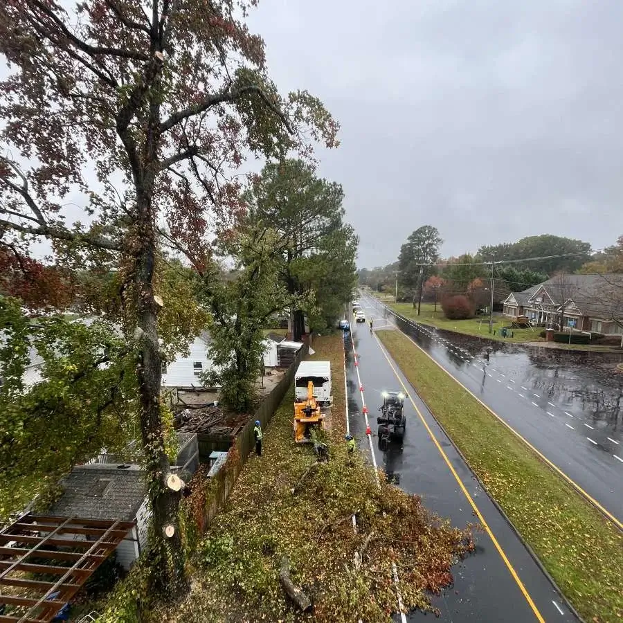 Professional tree service equipment including crane and safety gear in Chesapeake