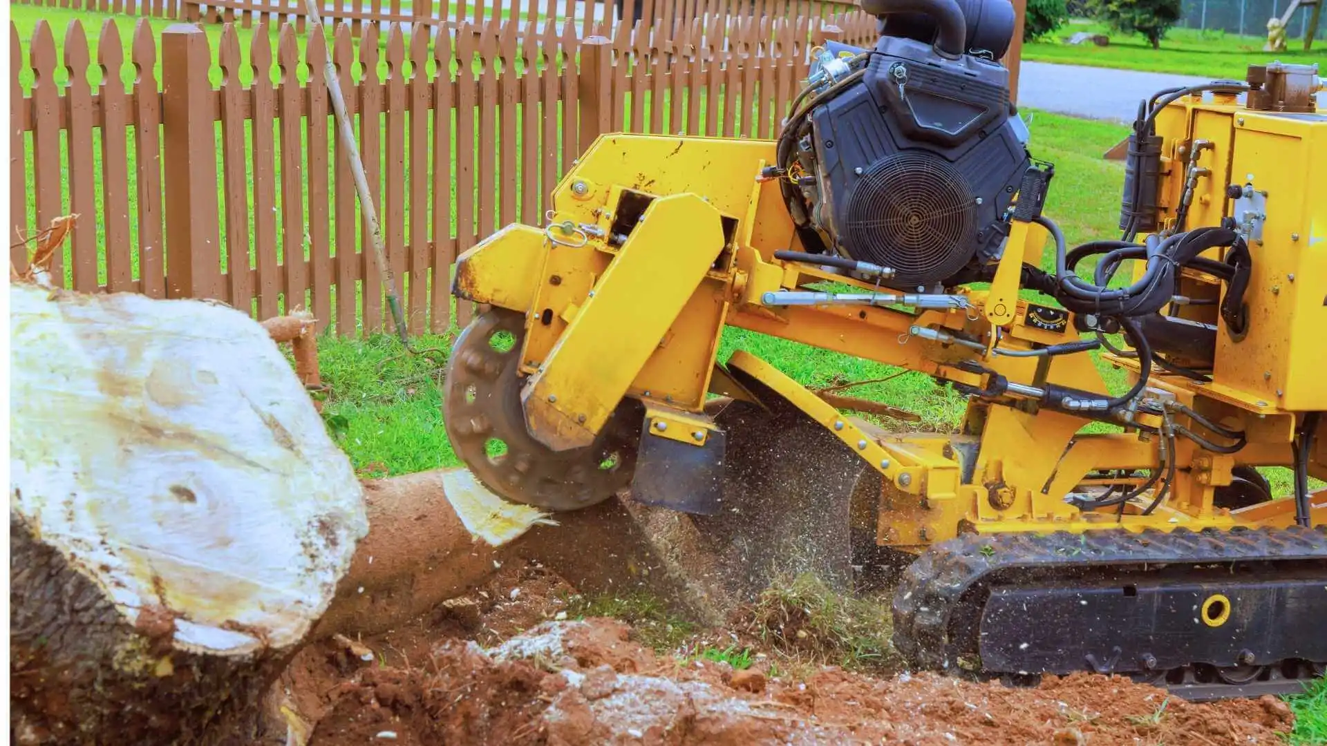 tree stump removal using a grinder