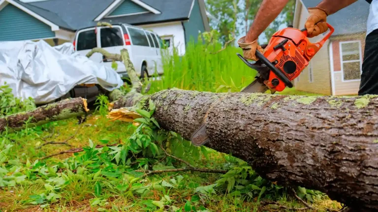 Tree removal crew cutting up a large fallen tree in a residential yard after a storm