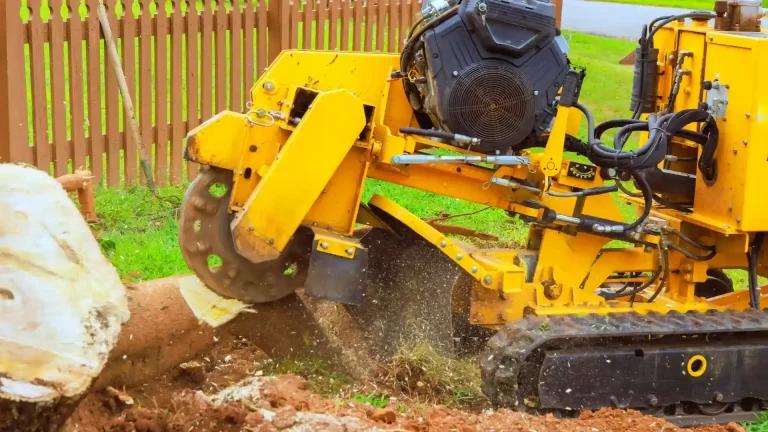 Tree stump being professionally ground down after tree removal in a residential yard