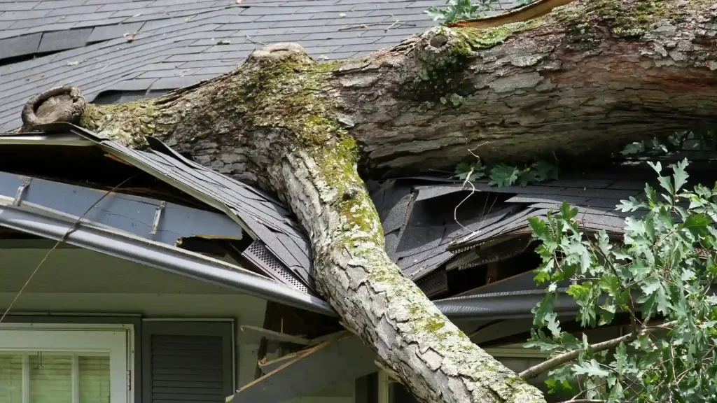 Large tree fallen on a house roof after a storm with visible structural damage
