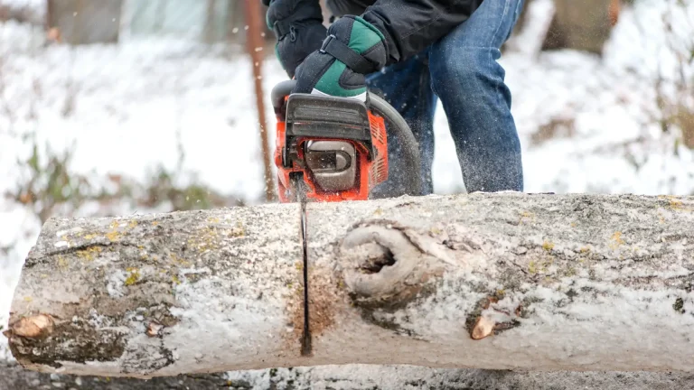 Tree removal worker cutting logs with a chainsaw during winter in Virginia