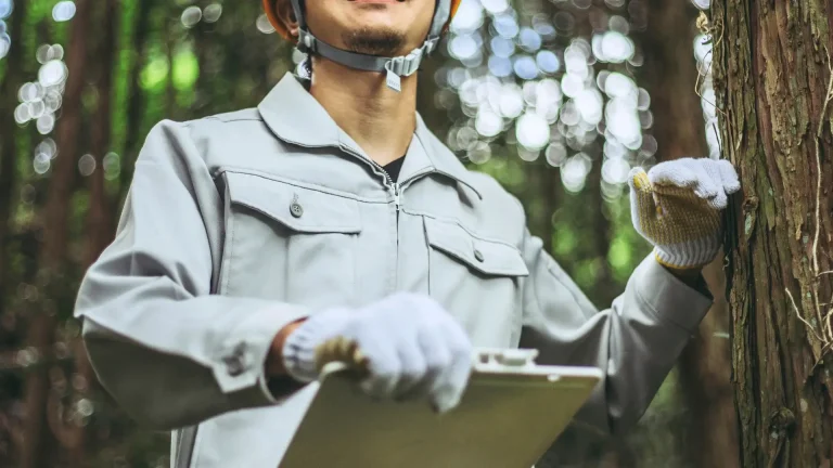 Arborist inspecting trees on a commercial property with clipboard for safety assessment