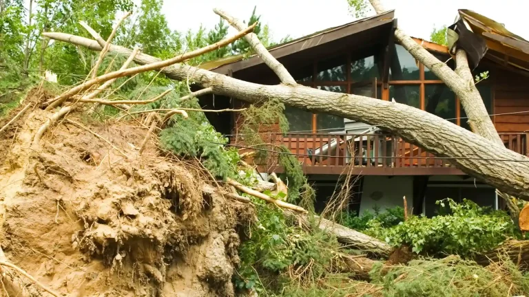 Tree fallen on a house after a storm for insurance assessment