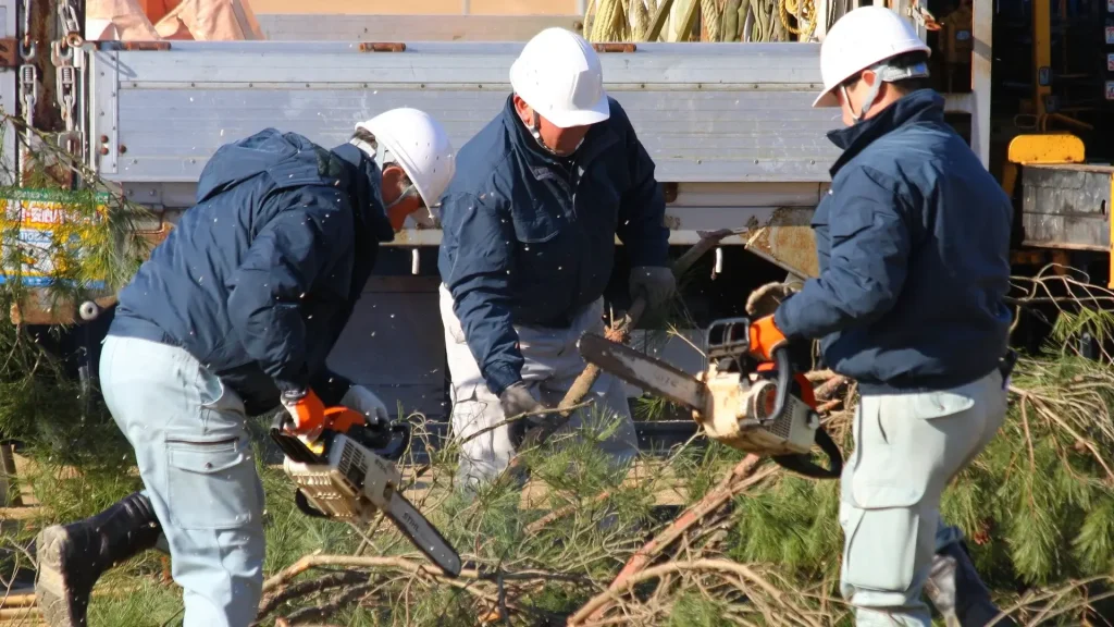 Tree removal crew in hard hats processing branches and debris on a job site