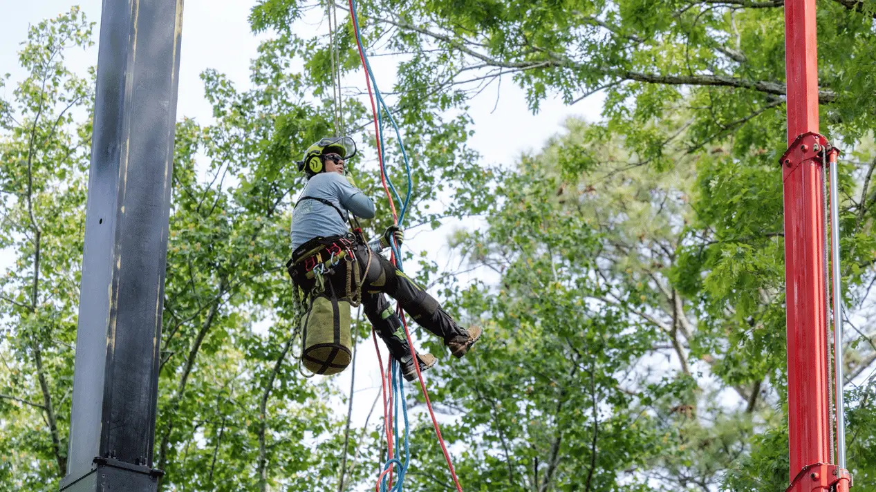 757 Tree Solutions arborist on ropes alongside a crane during tree removal