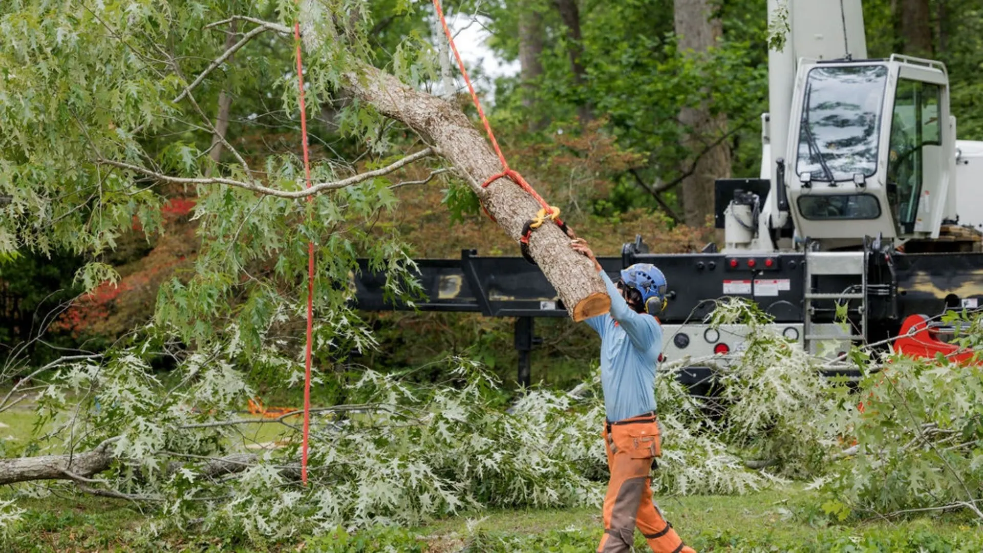 757 Tree Solutions crew member guiding a large tree during crane-assisted tree removal