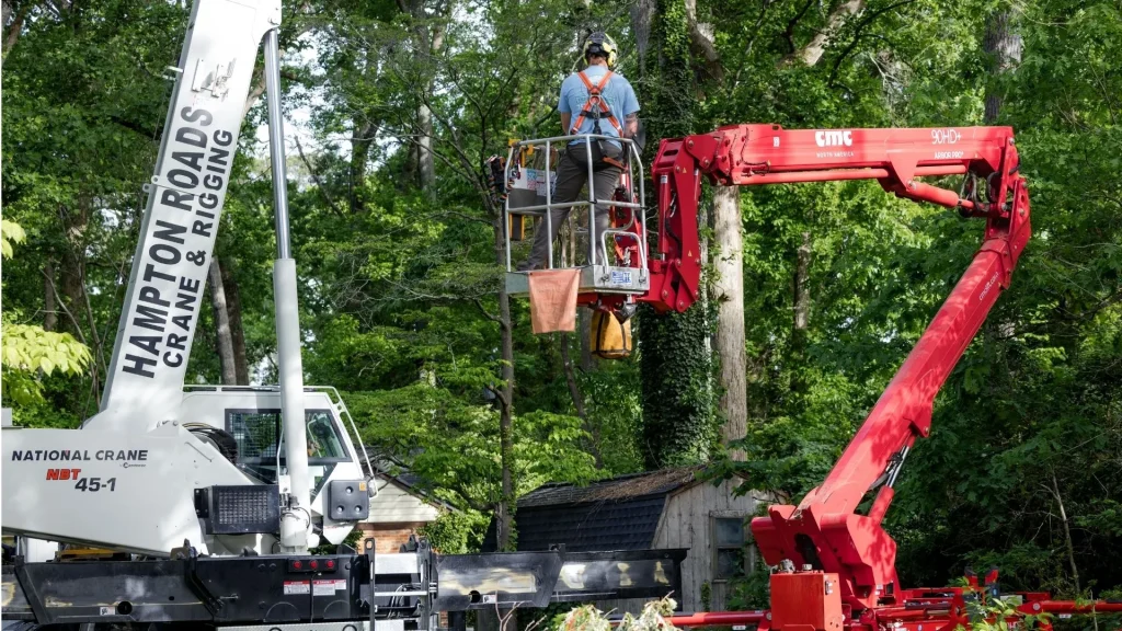 757 Tree Solutions arborist in a bucket lift operating alongside a crane for large tree removal service