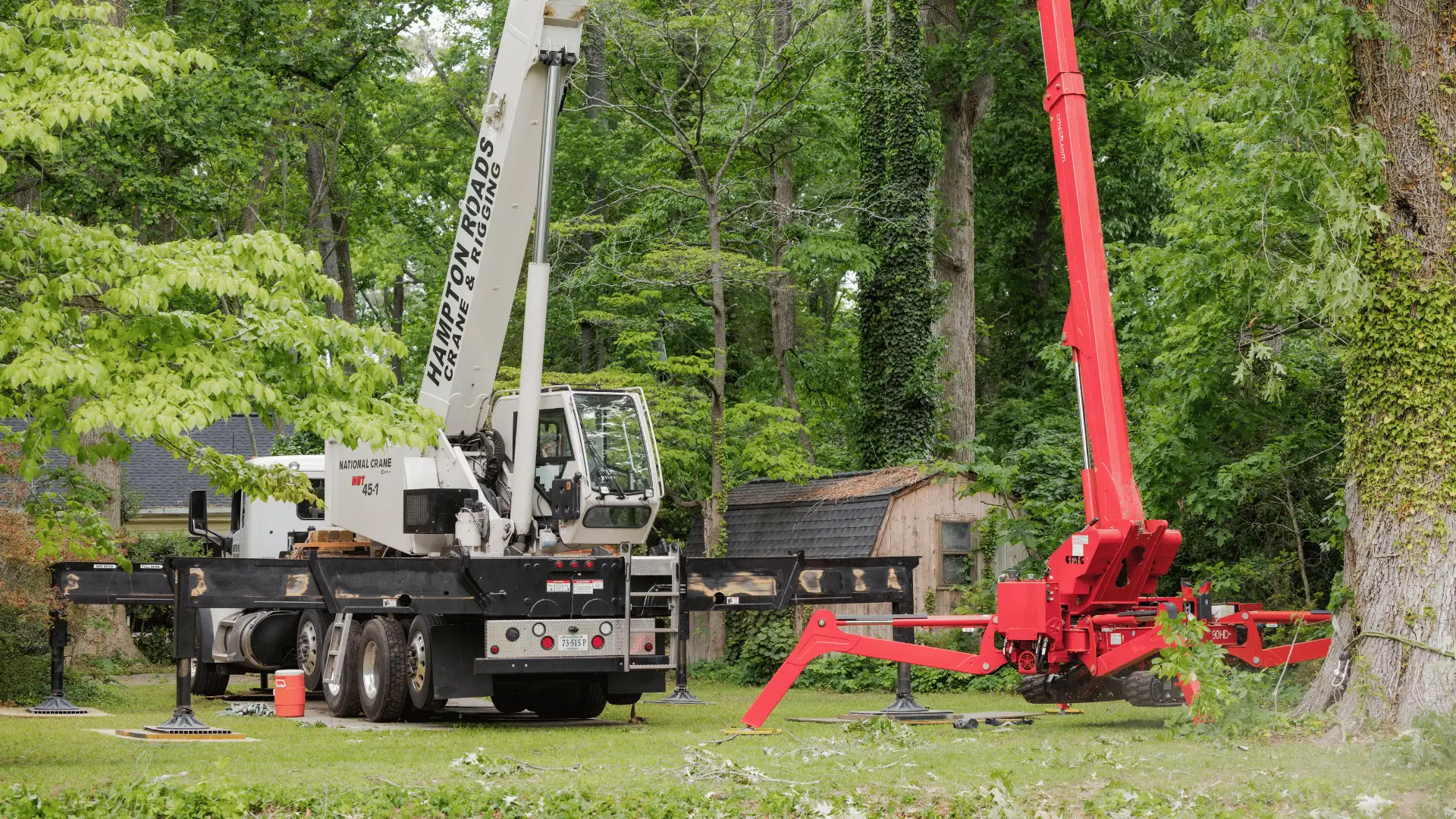 757-tree-solutions-crane-bucket-lift-large-tree-removal-setup