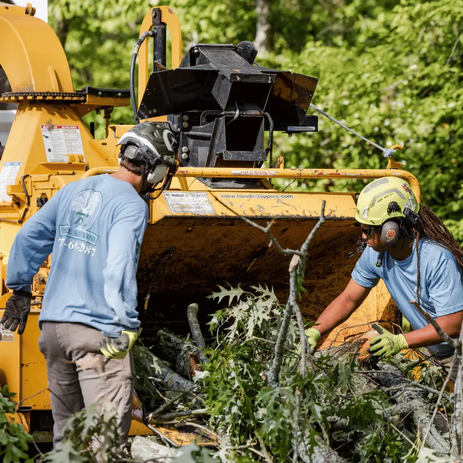 757 Tree Solutions crew feeding tree branches into a wood chipper during debris removal