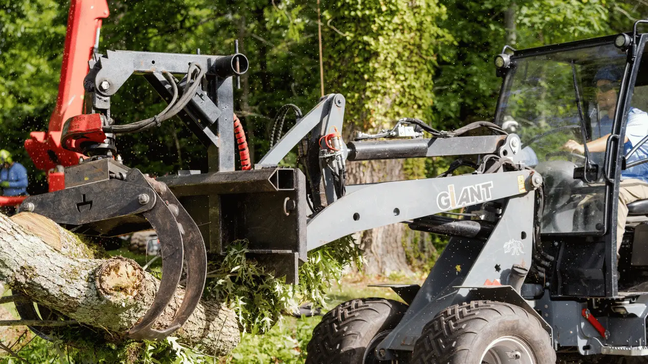 757 Tree Solutions skid steer moving large tree logs during cleanup