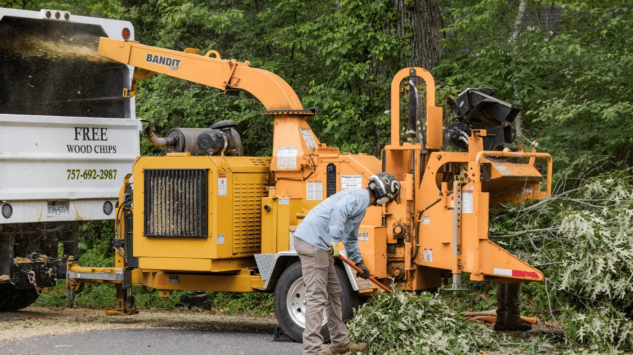757 Tree Solutions crew operating a wood chipper for tree debris removal