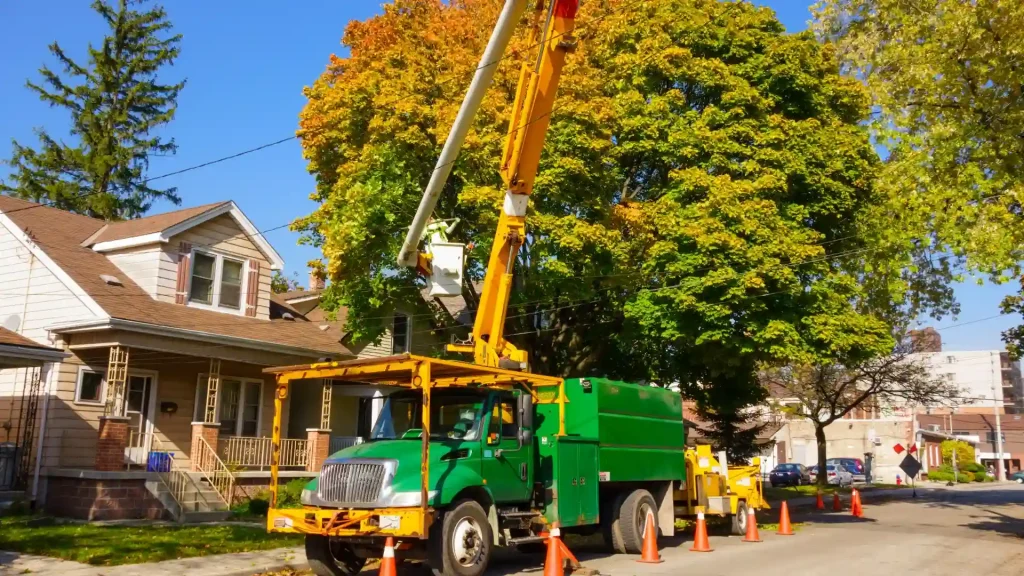 Tree crew preparing for removal near a house
