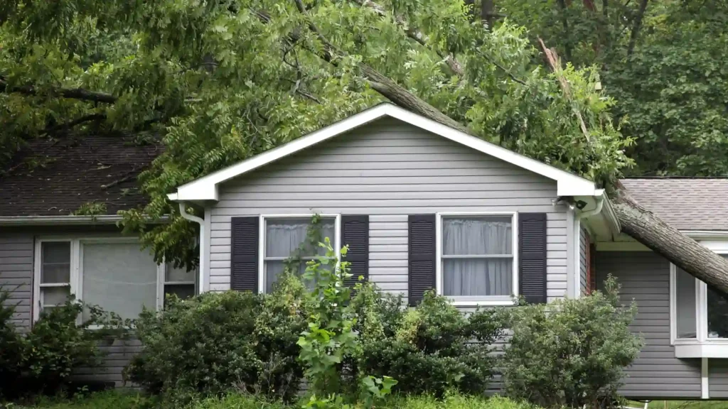 Storm-damaged tree threatening a home