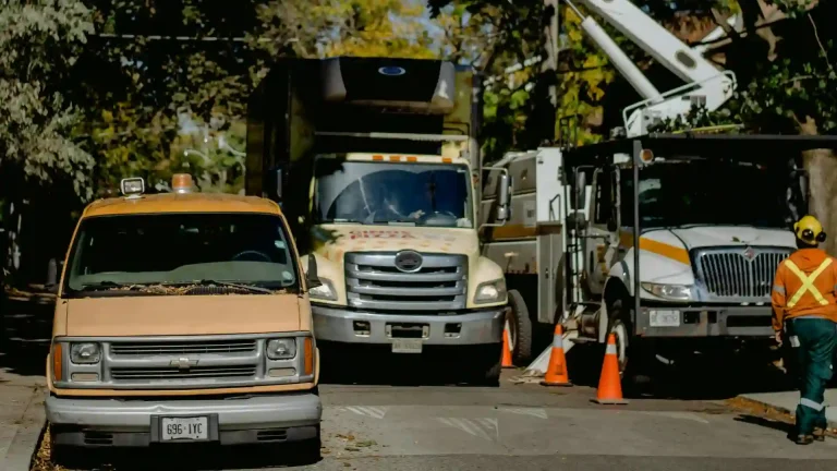 Secured work zone with marked utilities and cleared access for tree removal
