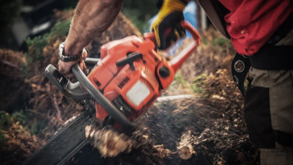 Arborist cutting exposed tree roots near a sidewalk