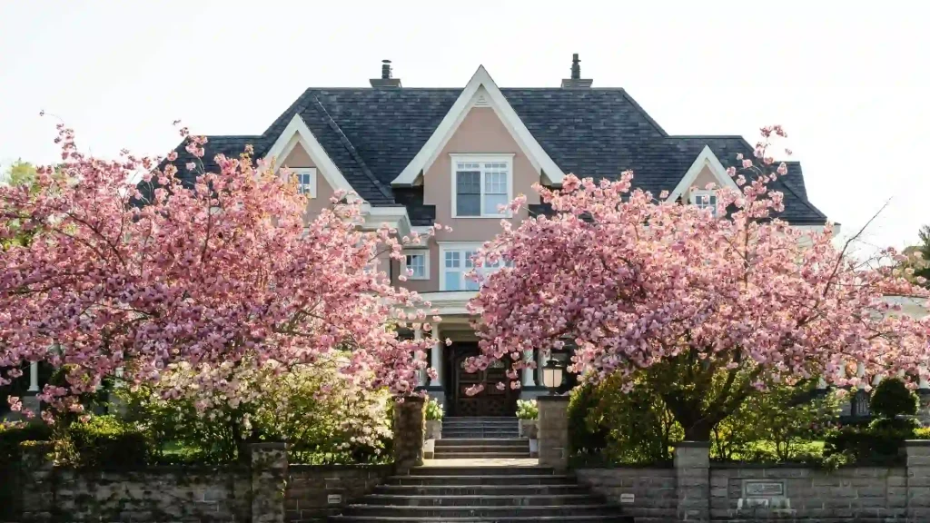 Trees with non-invasive roots in a Virginia yard