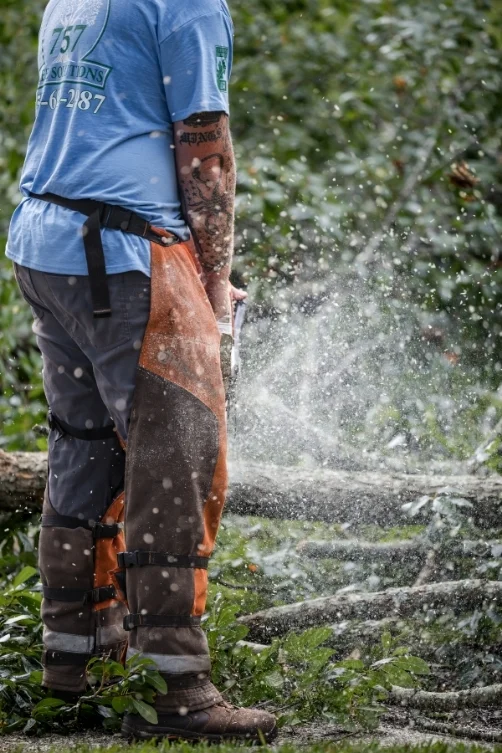 Emergency tree service crew responding to storm damage in Chesapeake VA