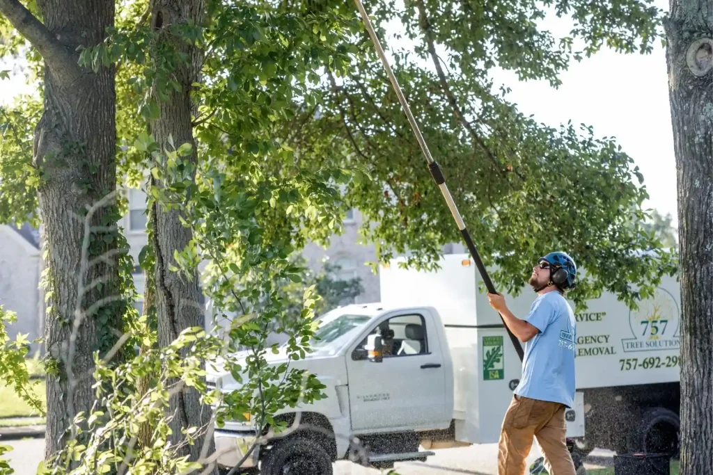 Tree trimming service clearing branches away from a home